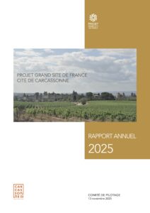 RapportAnnuel2025-web-Couv